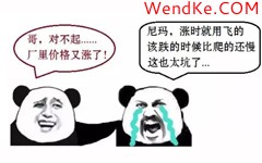 網(wǎng)科電氣